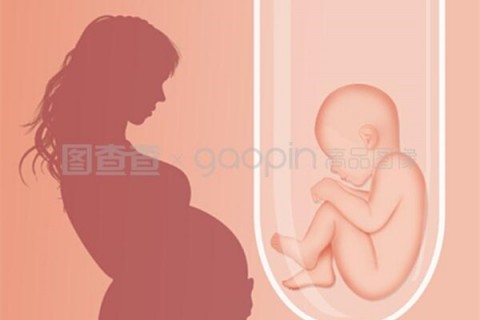 http://shenyang.hy-ly.com/post/208.html|沈阳人工试管