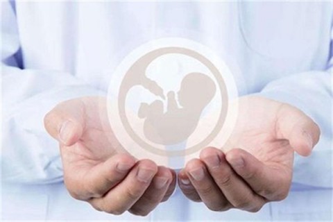 http://shenyang.hy-ly.com/post/203.html|沈阳试管助孕